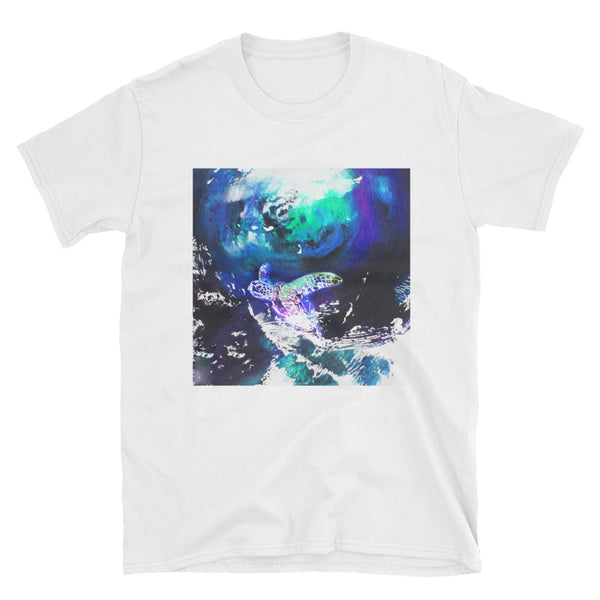 A Turtle's Tale: Kame Adventures