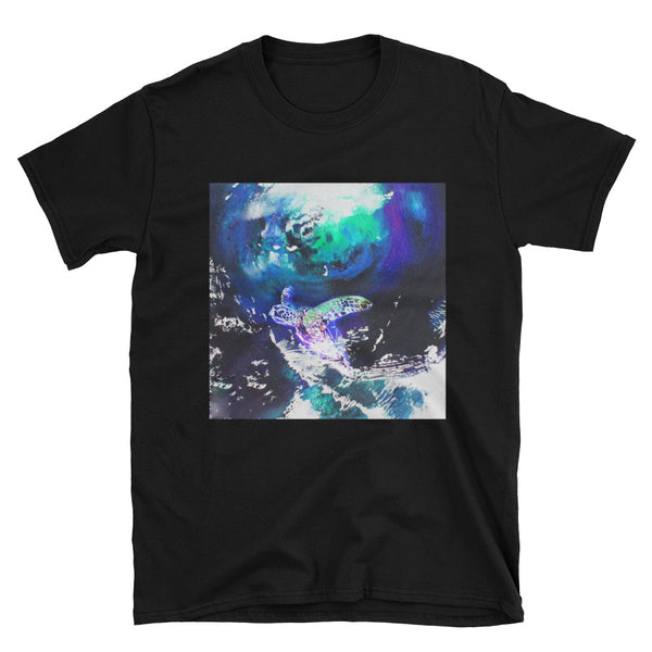 A Turtle's Tale: Kame Adventures